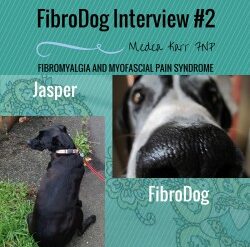 FIBRODOG INTERVIEW #3- GHOST THE FIBRO SUPPORT CAT