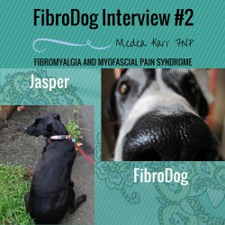 FIBRODOG INTERVIEW #2- JASPER fibromyalgia