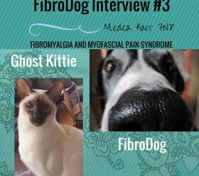 FibroDog Interview #2: Jasper the Island Support Dog