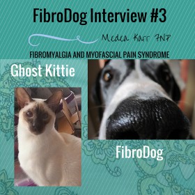FIBRODOG INTERVIEW #3- GHOST KITTIE